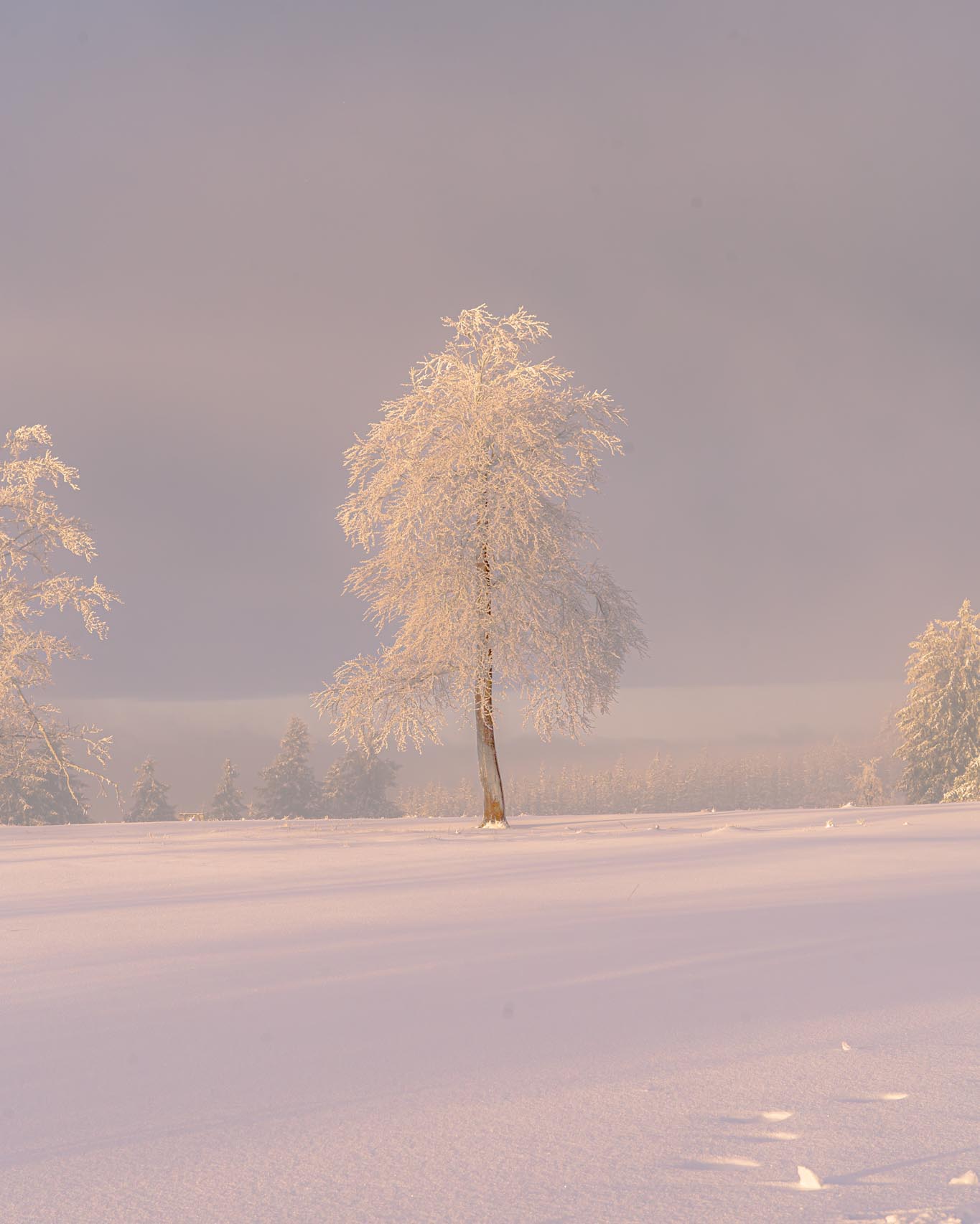 Winterberg